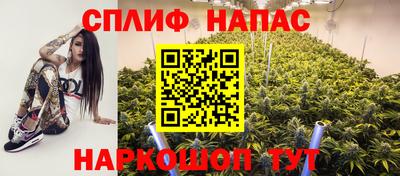 спайс Будённовск