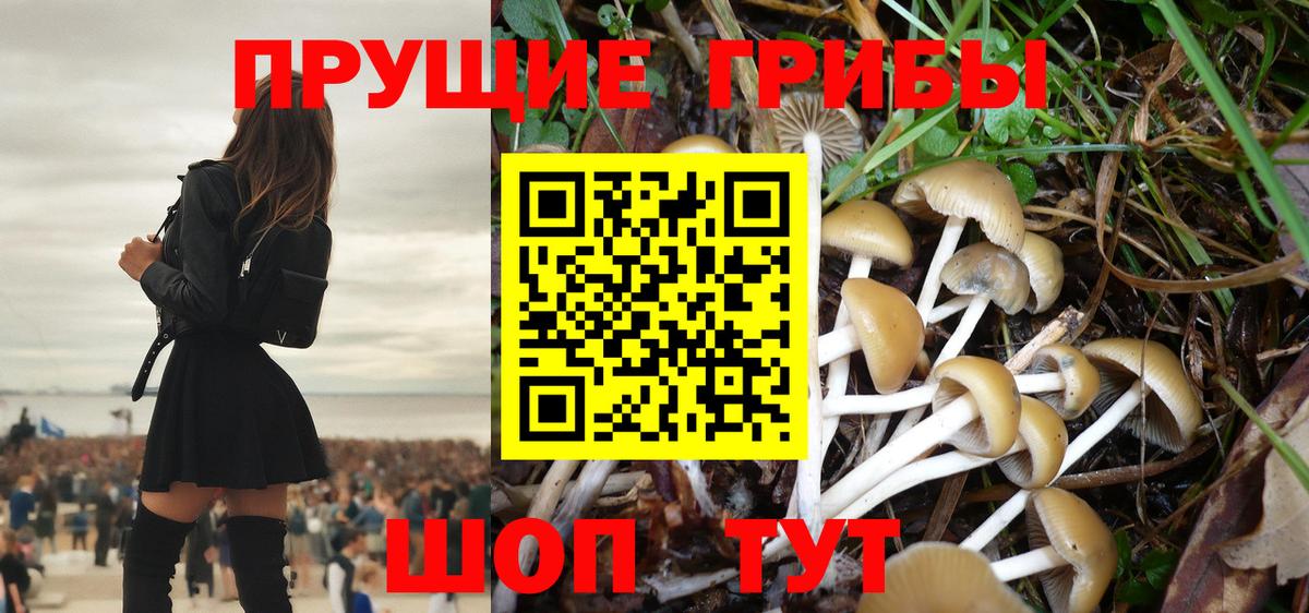 Псилоцибиновые грибы Magic Shrooms Родники